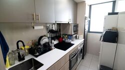Foresque Residences (D23), Condominium #576922421